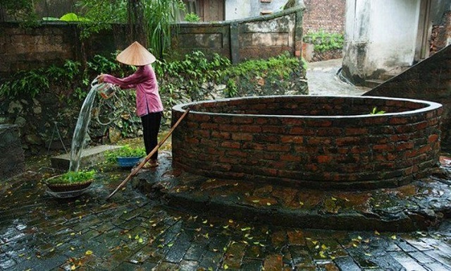 Mơ giếng nước trong dự may mắn sẽ tới Mơ giếng nước trong dự may mắn sẽ tới