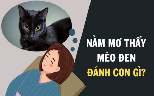 Chiêm bao thấy mèo đen nên chốt con gì Chiêm bao thấy mèo đen nên chốt con gì
