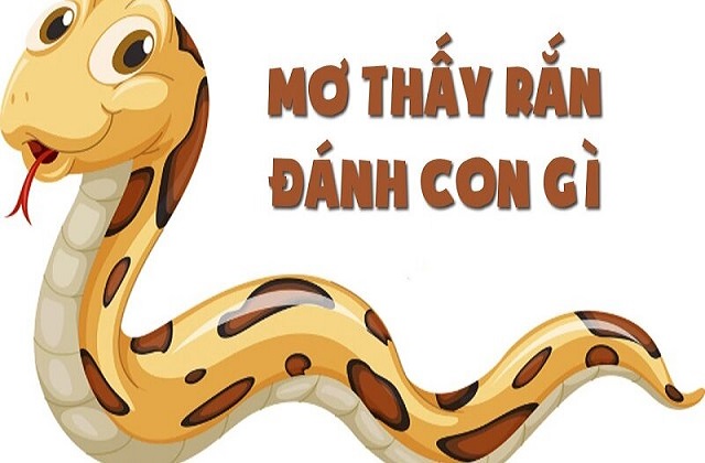 Mơ thấy rắn nên chốt số nào ngon ăn